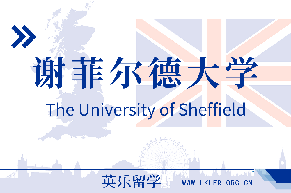 2023年申请英国谢菲尔德大学offer案例分享